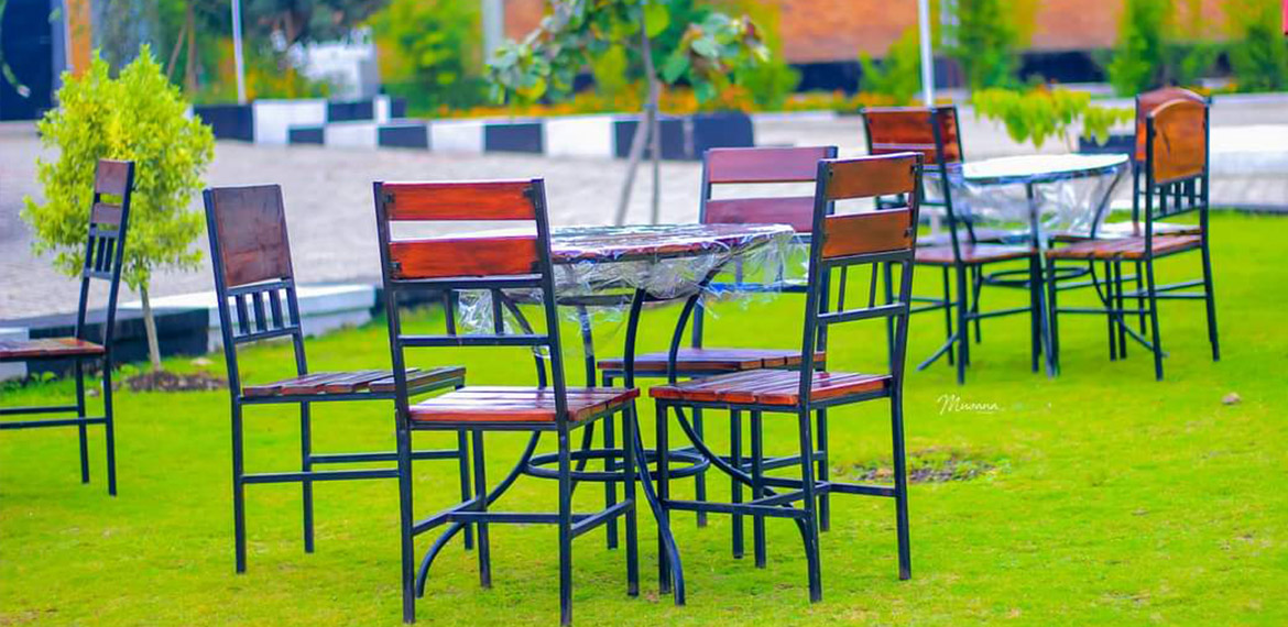 Dine in elegance – world-class cuisine in a warm, inviting setting